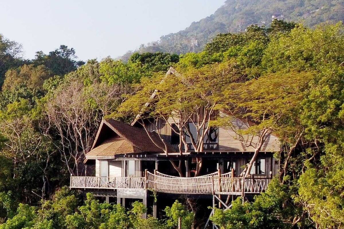 Une maison en bois dotée d’une terrasse en bois, entourée d’un feuillage verdoyant et dense, avec des collines en arrière-plan.