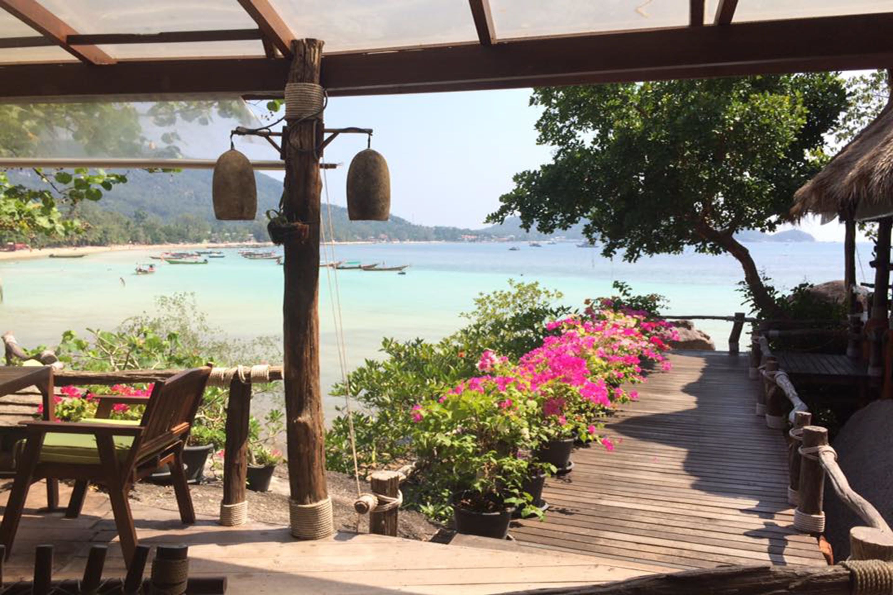 Une terrasse en bois agrémentée de plantes en pot, avec vue sur une plage où se trouvent des bateaux.