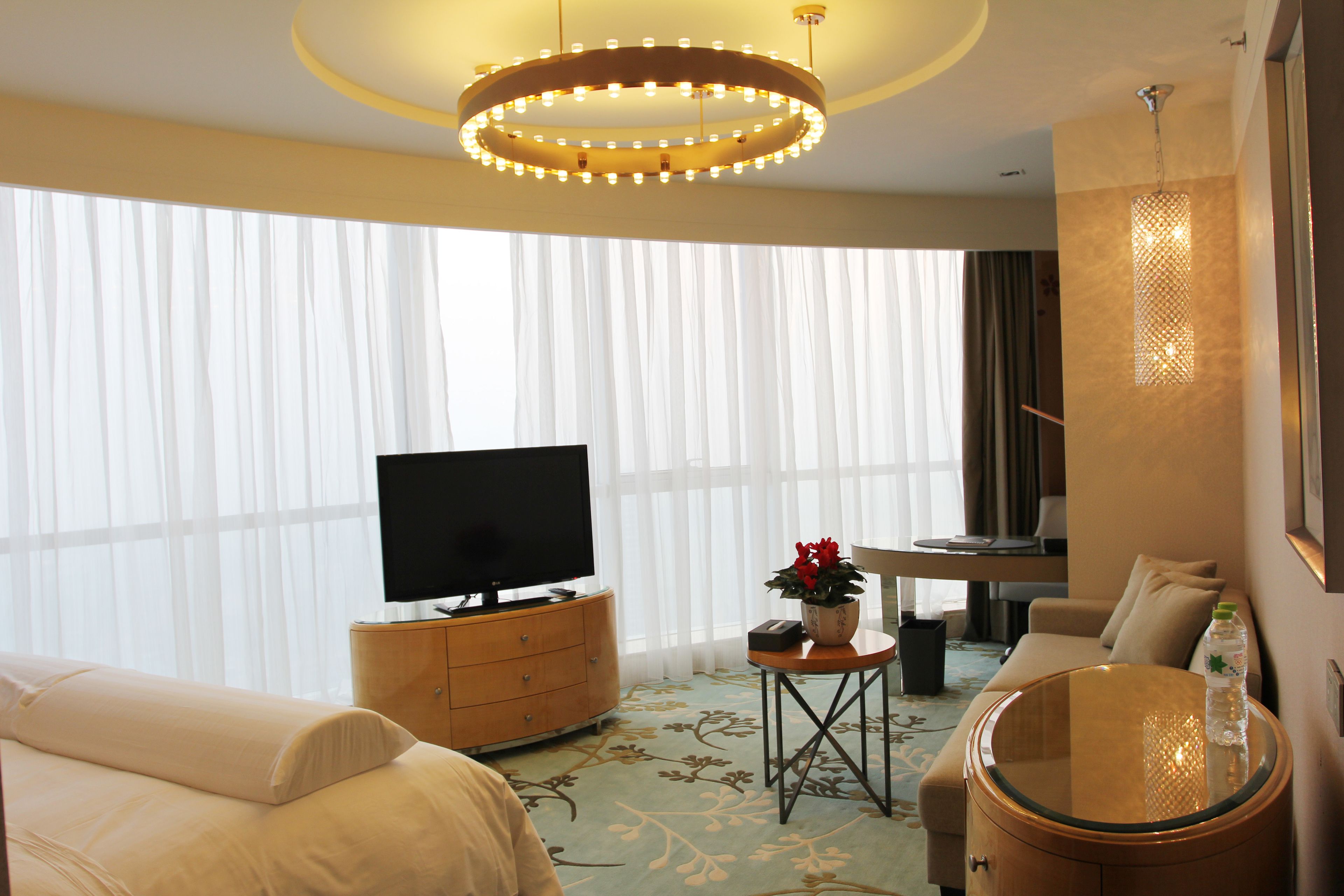 A hotel room with a bed, a television, a small table with a plant, and a desk with a chair.