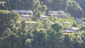 Un groupe de maisons entourées d’une végétation luxuriante et bordées par un plan d’eau.