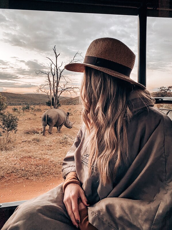 Una persona con sombrero y chaqueta observando fauna silvestre, incluyendo un rinoceronte, en un entorno natural.