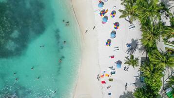 Plage à proximité, sable blanc, chaises longues, parasols