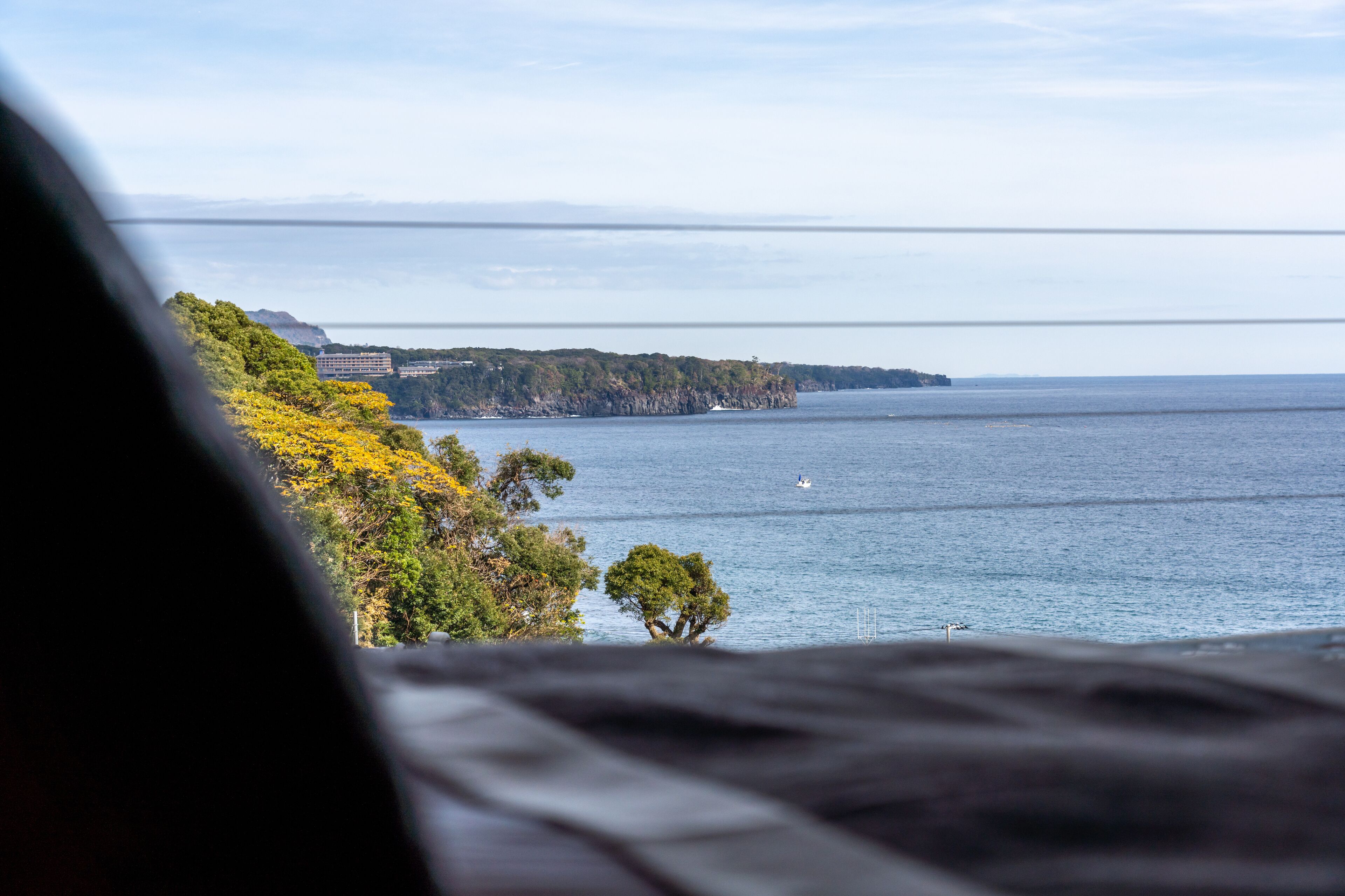 A coastal view with a tree-lined cliff and a body of water.