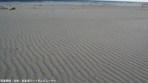 Une vaste plage de sable fin, avec de douces vagues à l'horizon.
