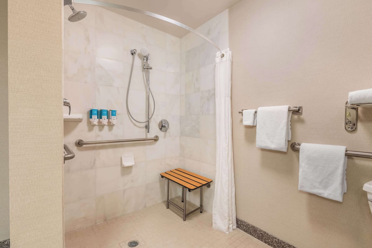 combined shower/bathtub, free toiletries, hair dryer, towels
