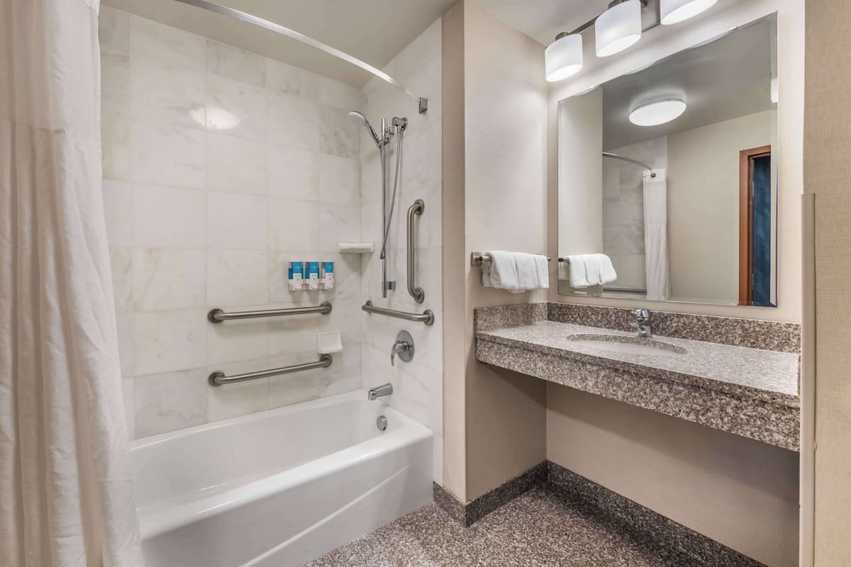 combined shower/bathtub, free toiletries, hair dryer, towels
