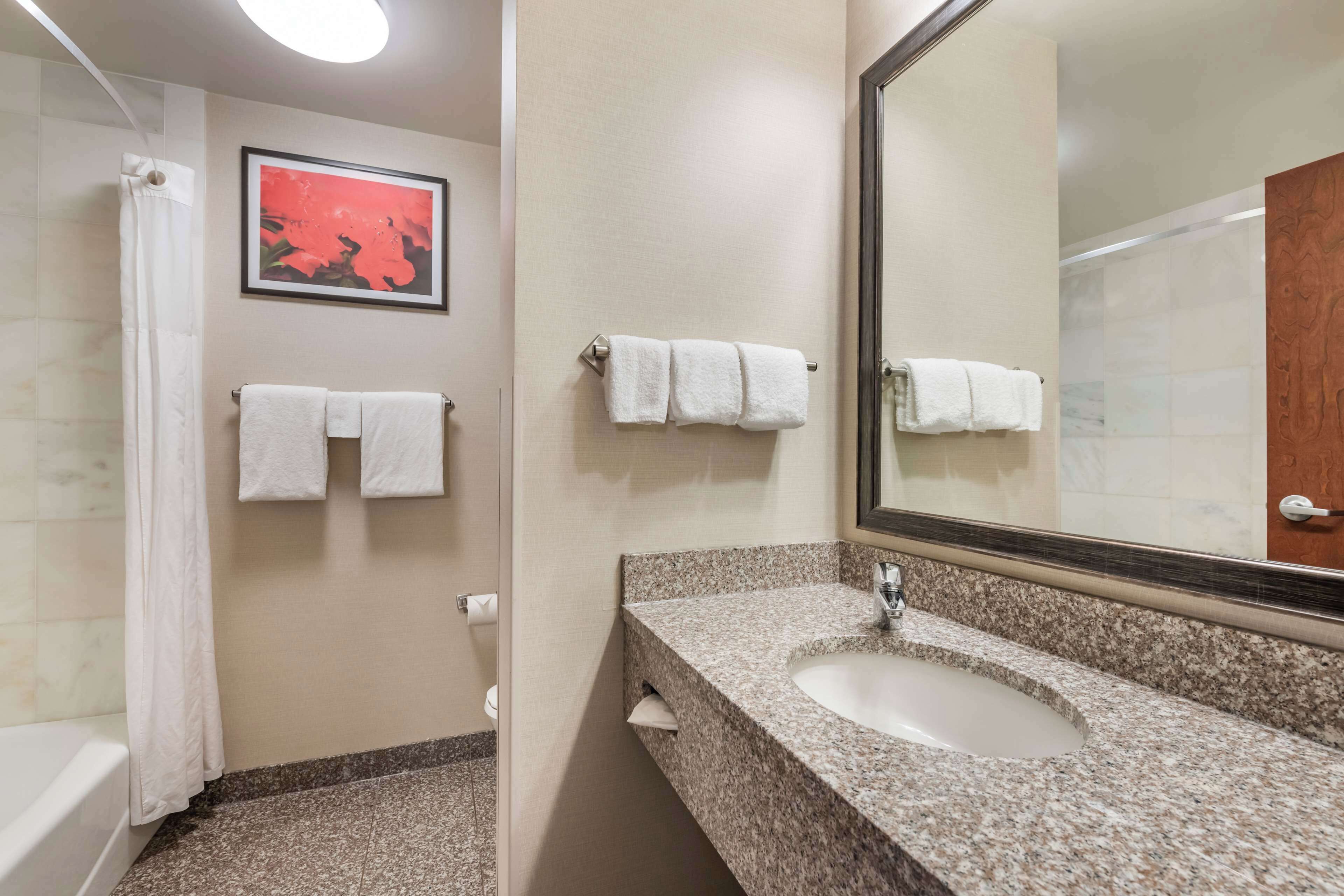 combined shower/bathtub, free toiletries, hair dryer, towels