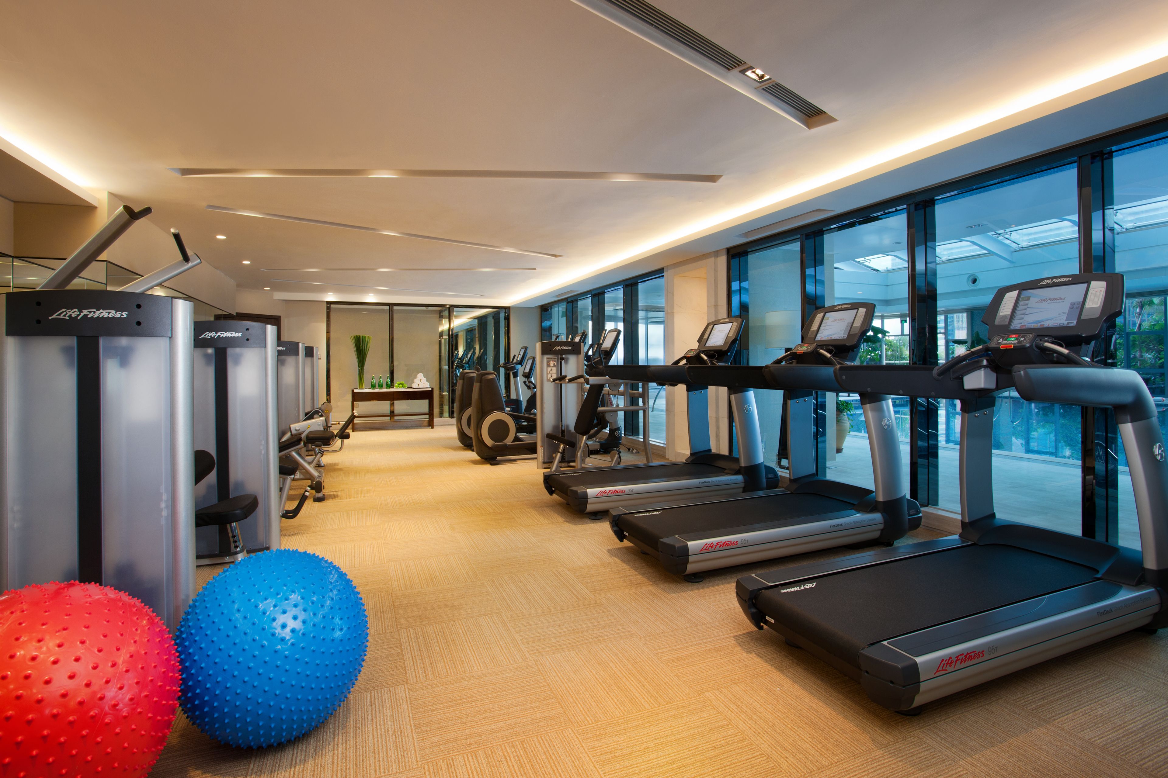 A modern gym with treadmills, weight machines, and exercise balls.