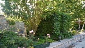 Un jardín con un muro de piedra, macetas verdes con flores y un farol.
