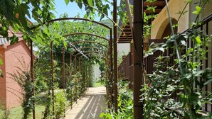 A pathway lined with greenery and a pergola structure.