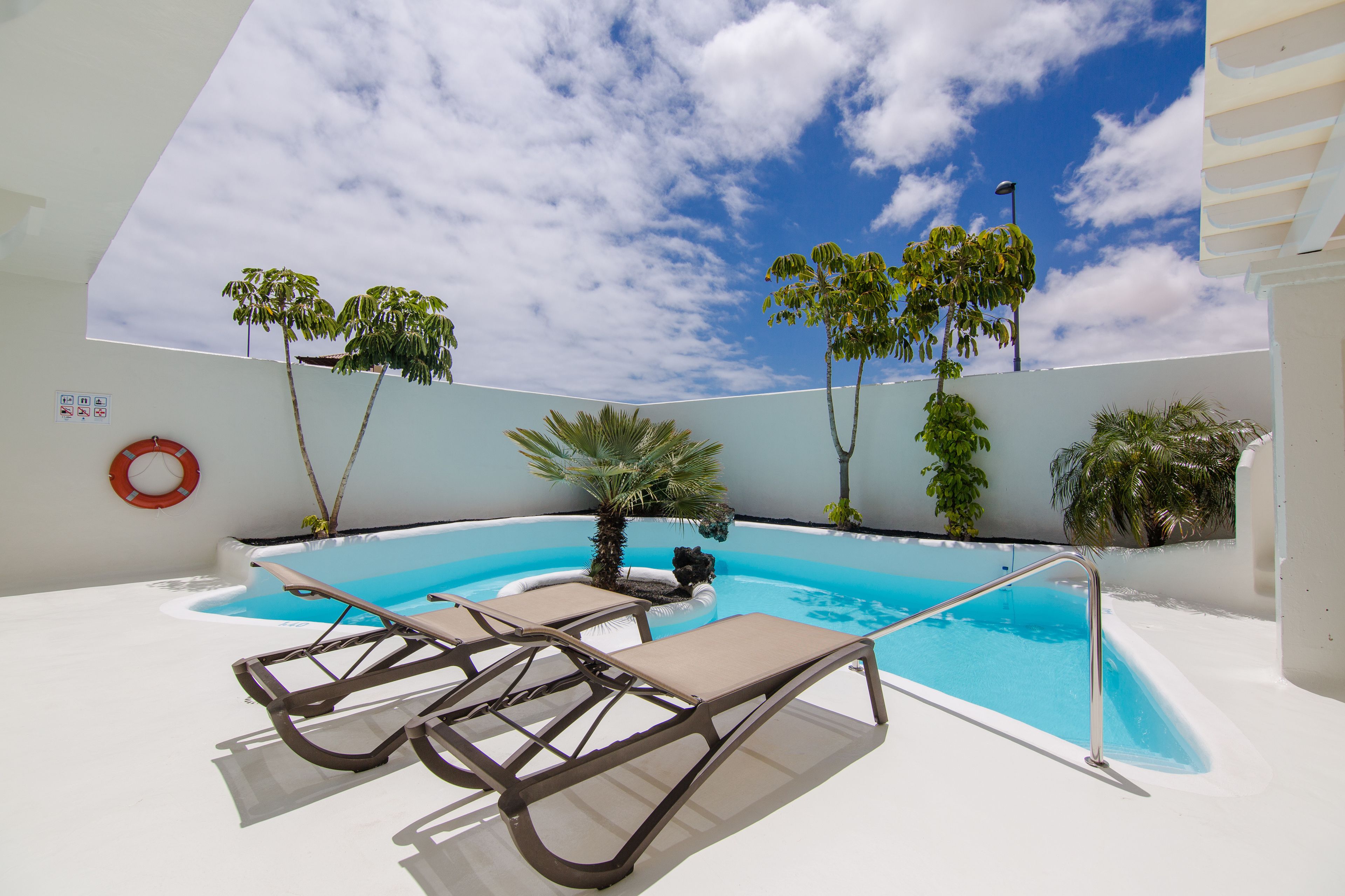Une piscine avec des chaises longues et des palmiers.