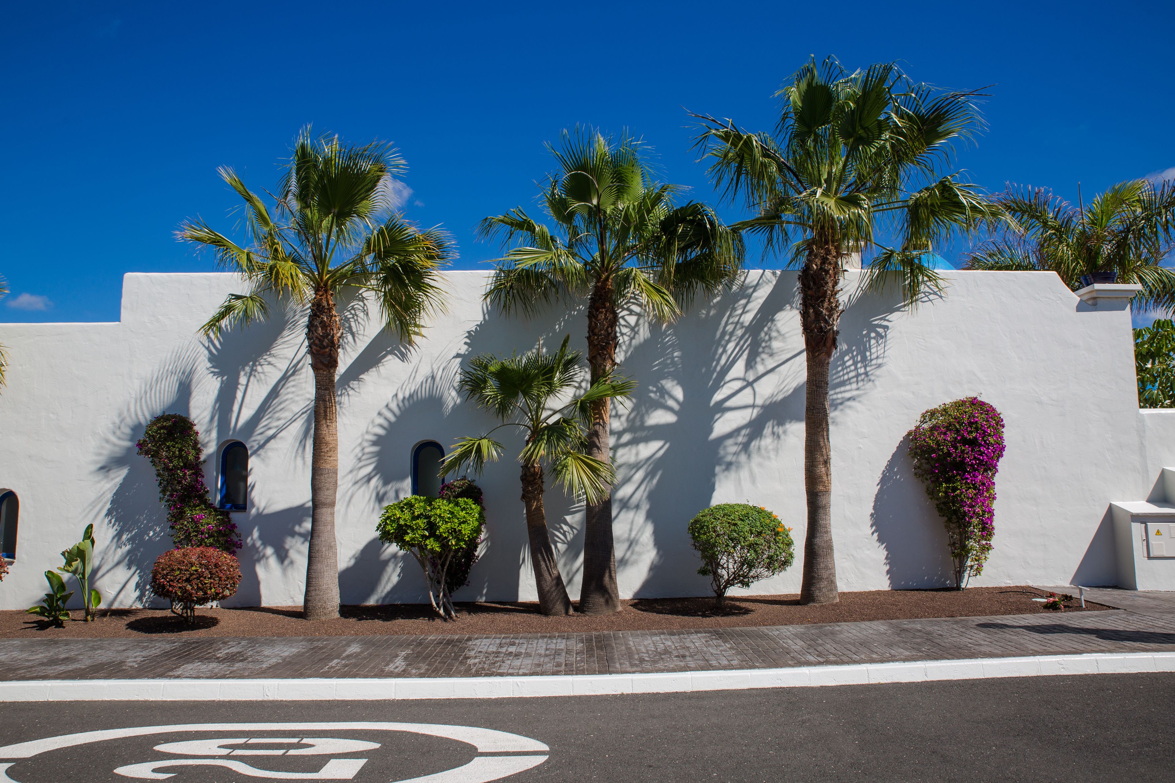 A white building with palm trees and small shrubs in front.
