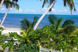 Une vue sur la plage, avec des palmiers, une clôture blanche et un océan bleu limpide.