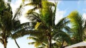A pool area with palm trees and umbrellas, surrounded by a building with a view of the sea. - Constance Sakoa Boutik (Trou aux Biches)