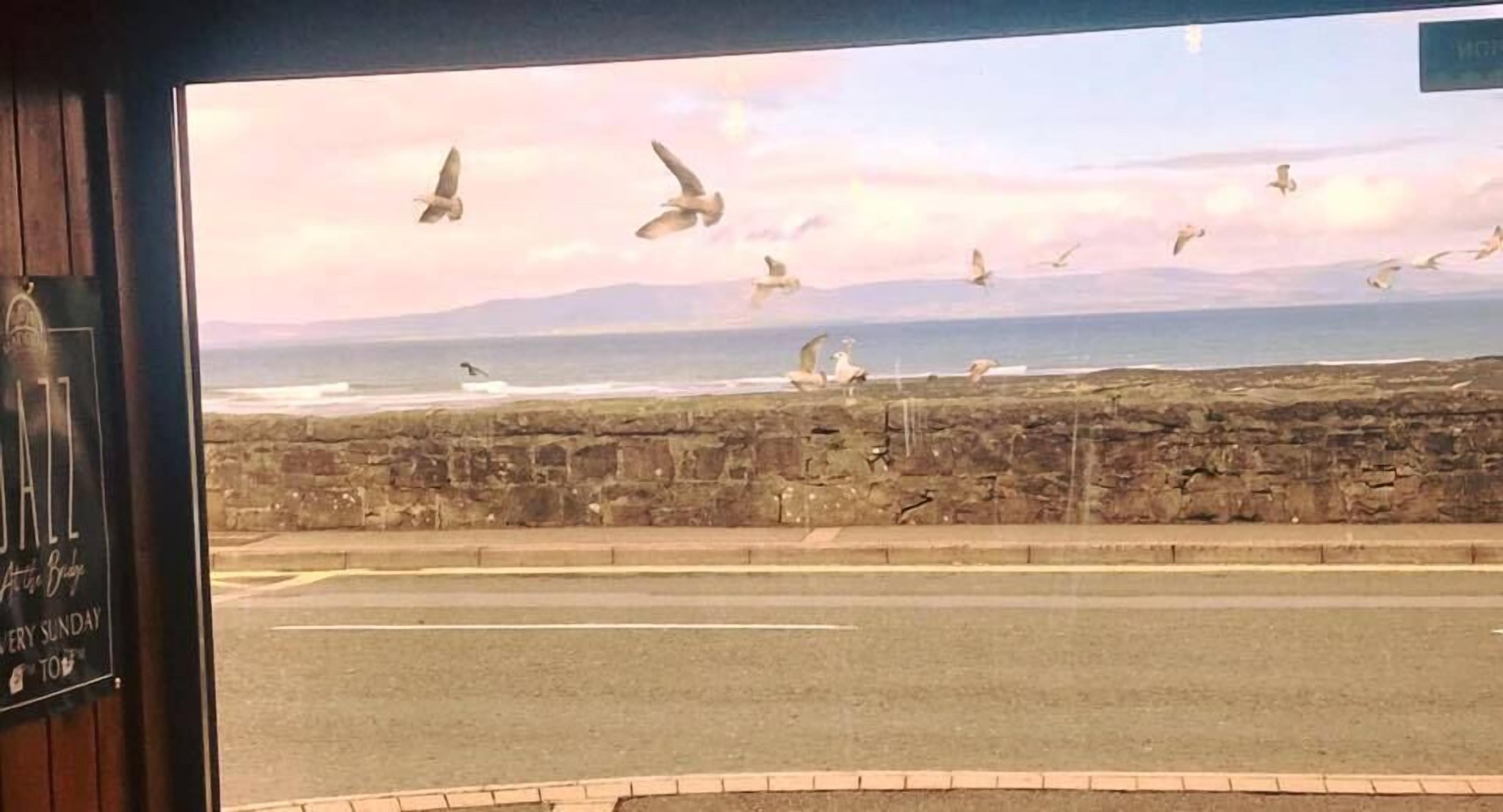 Vista de una carretera costera con un muro de piedra y gaviotas volando.