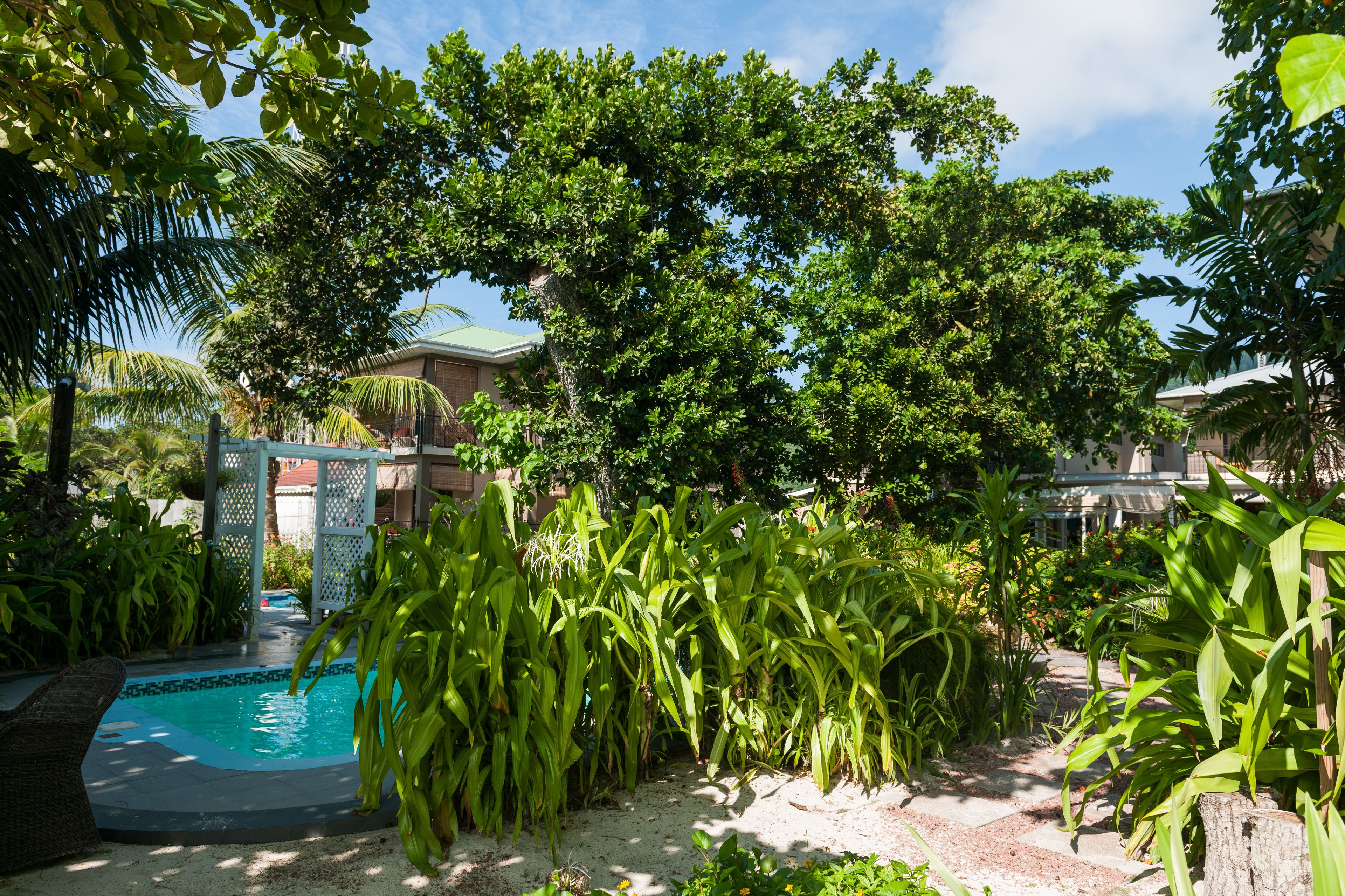 A swimming pool surrounded by lush greenery and a white gazebo.
