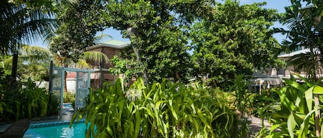 A swimming pool surrounded by lush greenery and a white gazebo.