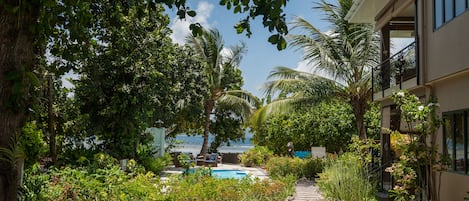 A pool area with a view of the ocean, surrounded by lush greenery and palm trees.