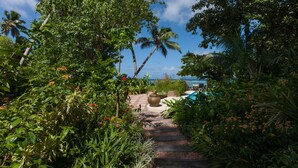 Un sentier de jardin mène à un espace piscine agrémenté de plantes tropicales et de palmiers.