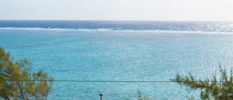 Internationale KĂŒche, Blick aufs Meer