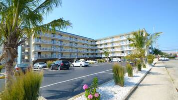 Khuôn viên nơi lưu trú