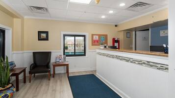 A reception area with a reception desk, a chair, a small table with brochures, a potted plant, and a window with a view of the outside.
