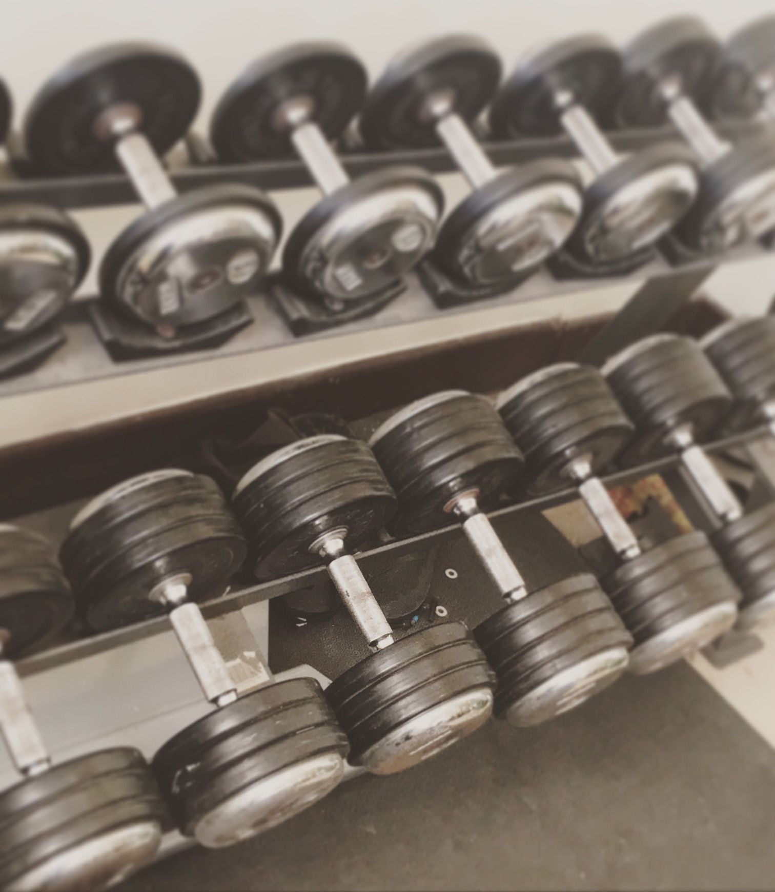 A rack of black dumbbells with silver handles, arranged in rows on a metal shelf.