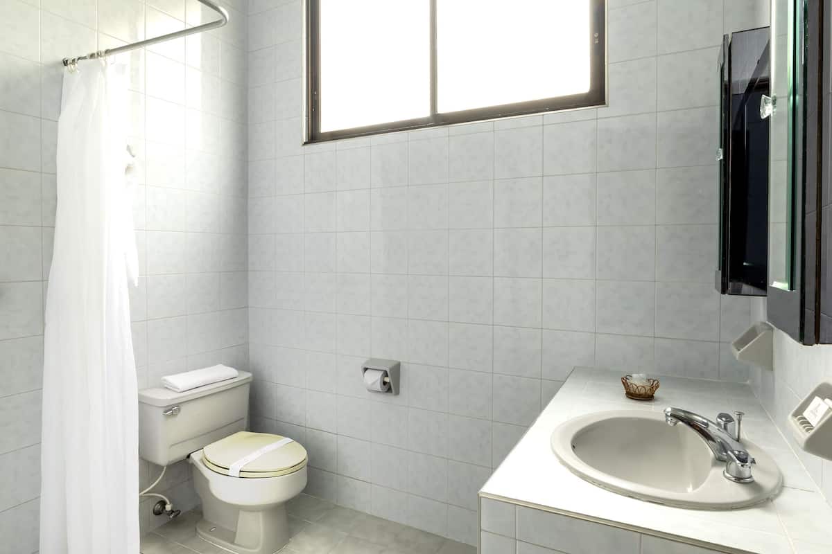 family double room | bathroom | shower, hair dryer, towels