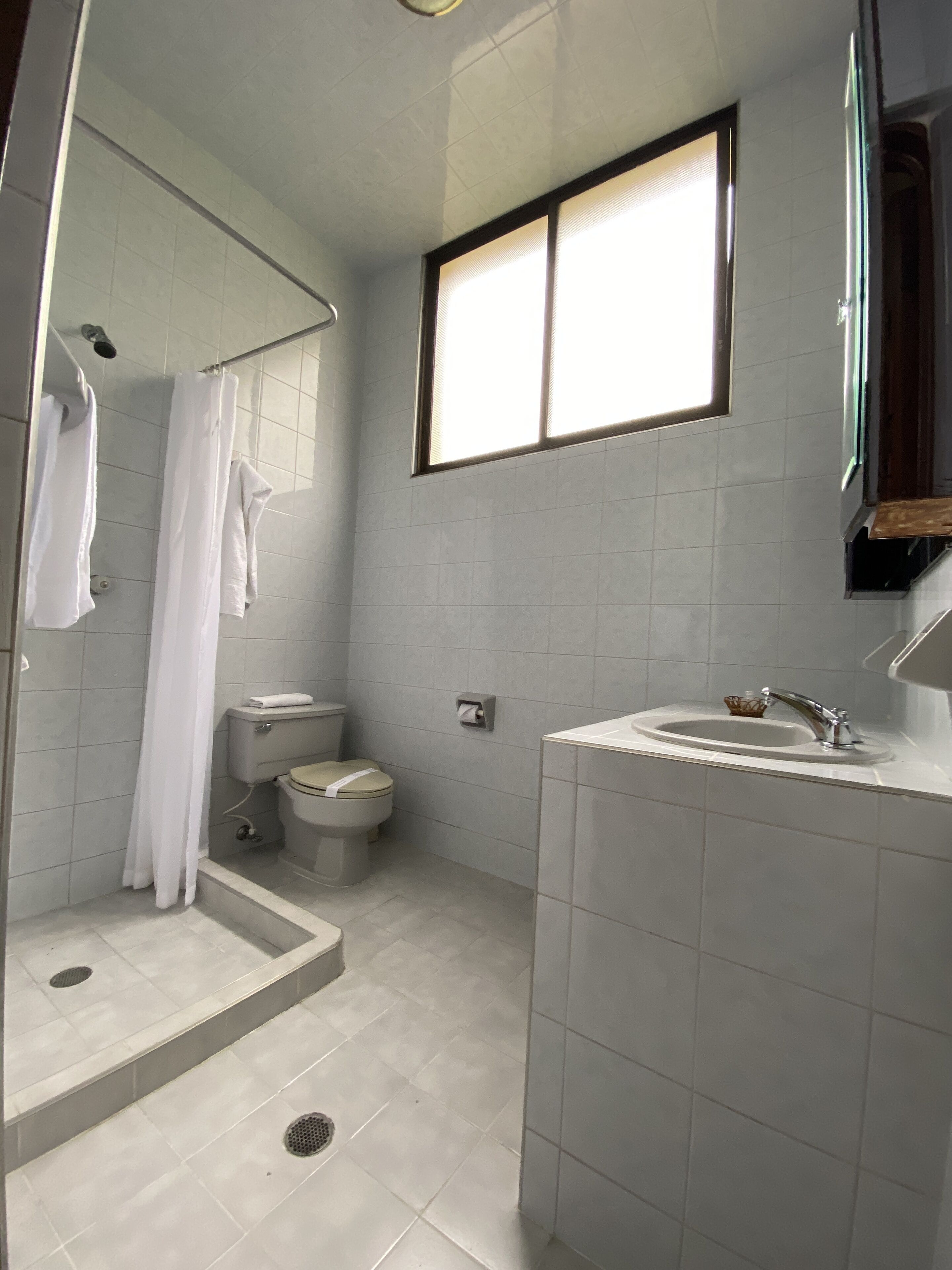 A modern bathroom with a shower, toilet, and sink.