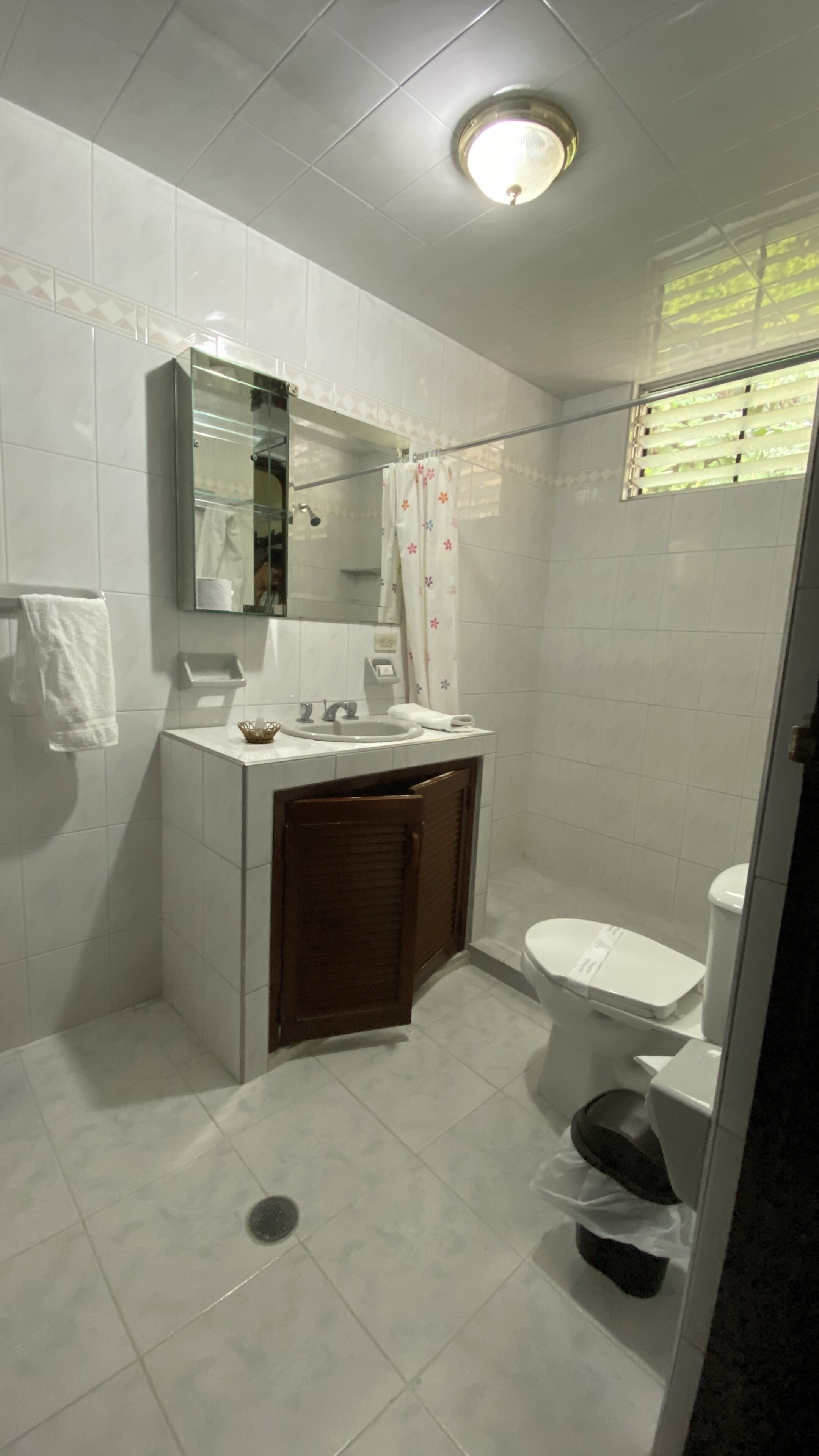 Une salle de bain équipée d’un lavabo, d’un miroir, de toilettes et d’un espace douche.