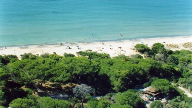 Una playa con abundante vegetación en primer plano y una playa arenosa con gente y embarcaciones al fondo.