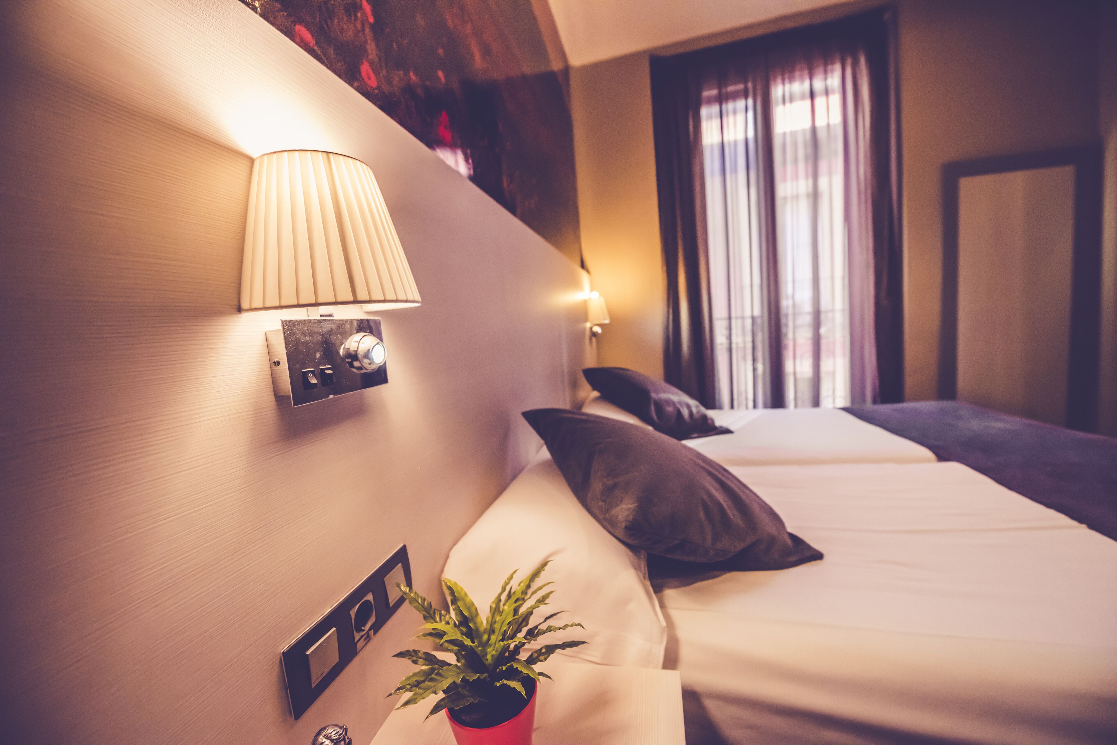 Une chambre d’hôtel avec un lit, une lampe de chevet, un tableau accroché au mur et une plante en pot.