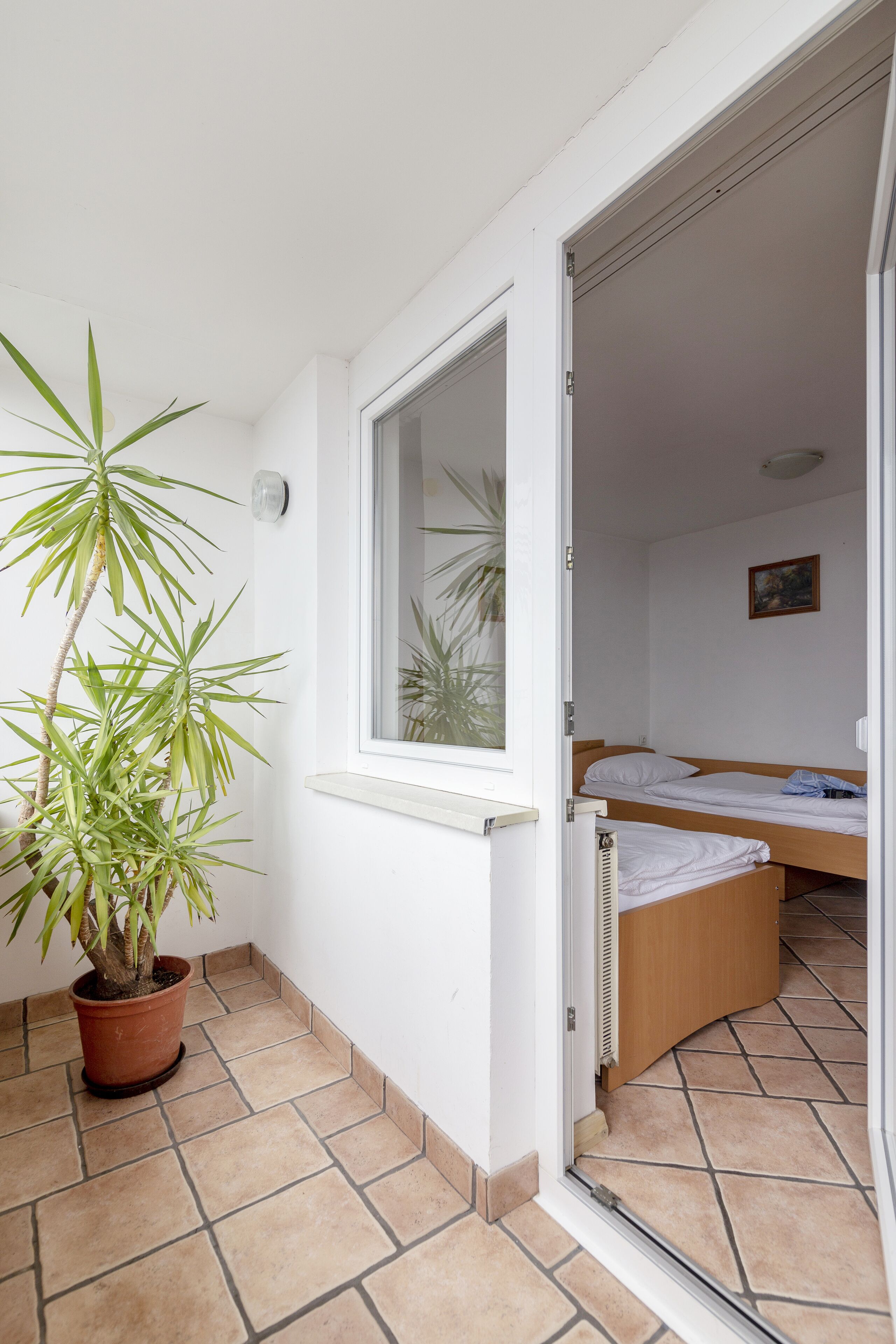A balcony with a potted plant, a window, and a bed in the adjacent room.