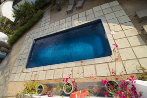 Outdoor pool, pool umbrellas - Vanilla House (Black River)