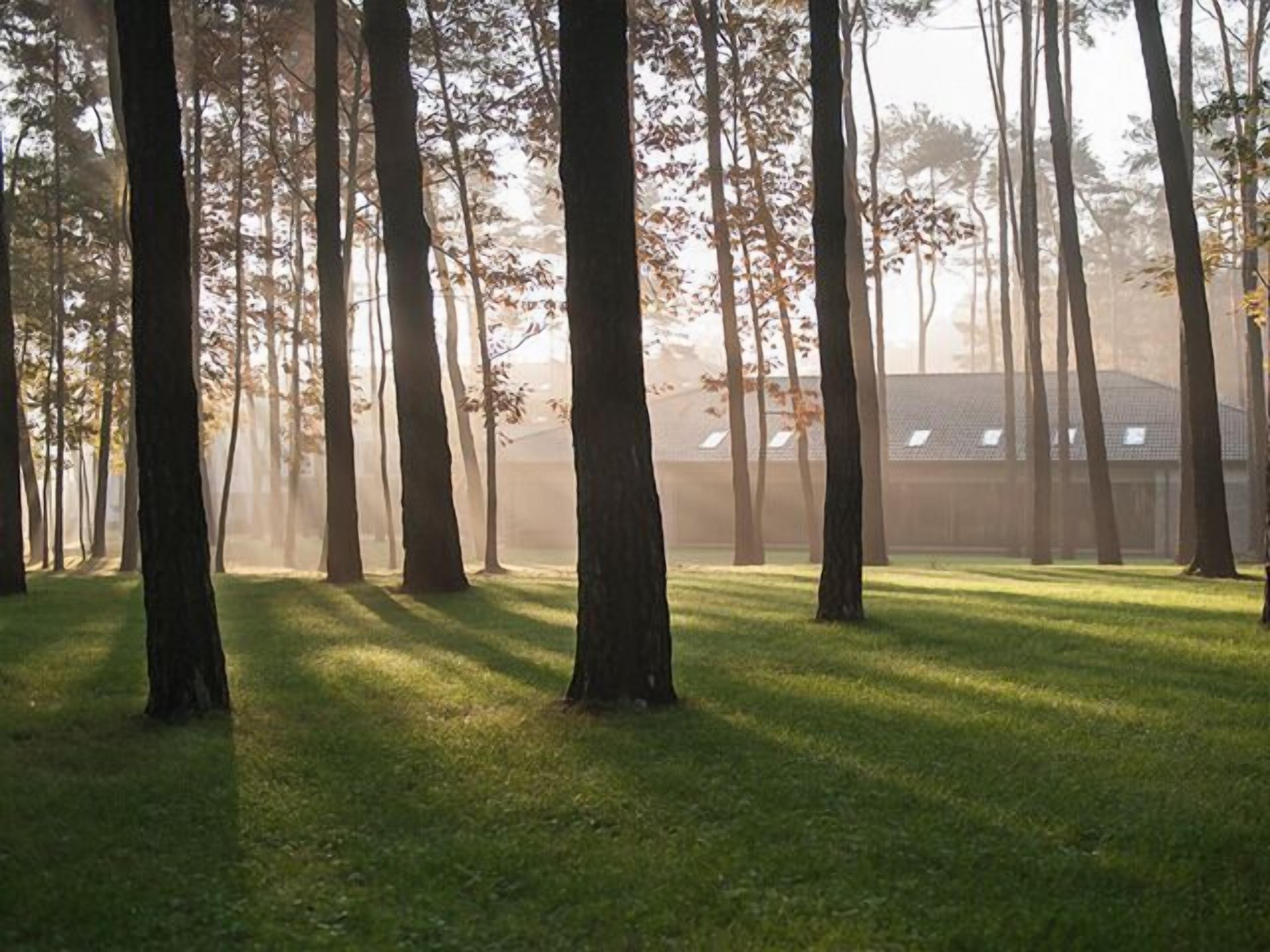 land view from property