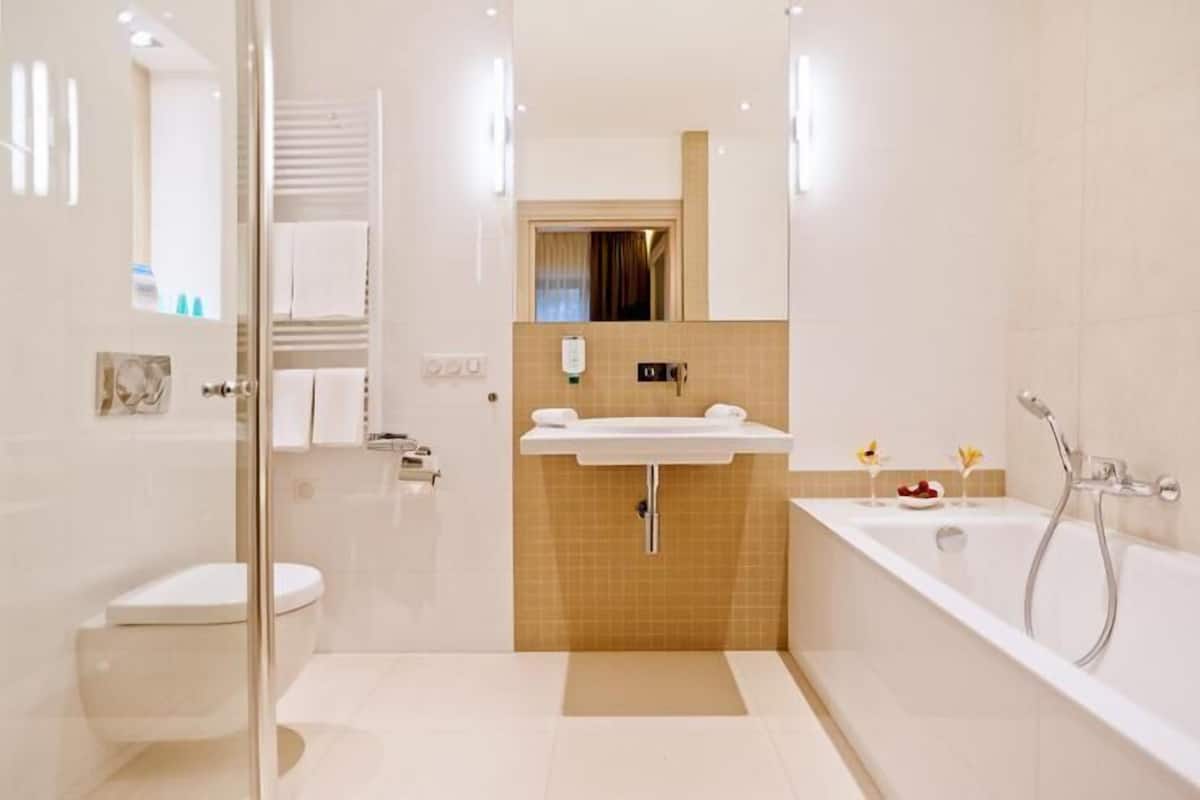 rainfall showerhead, hair dryer, bathrobes, slippers