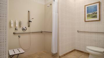 A bathroom with a shower, toilet, and handrails.