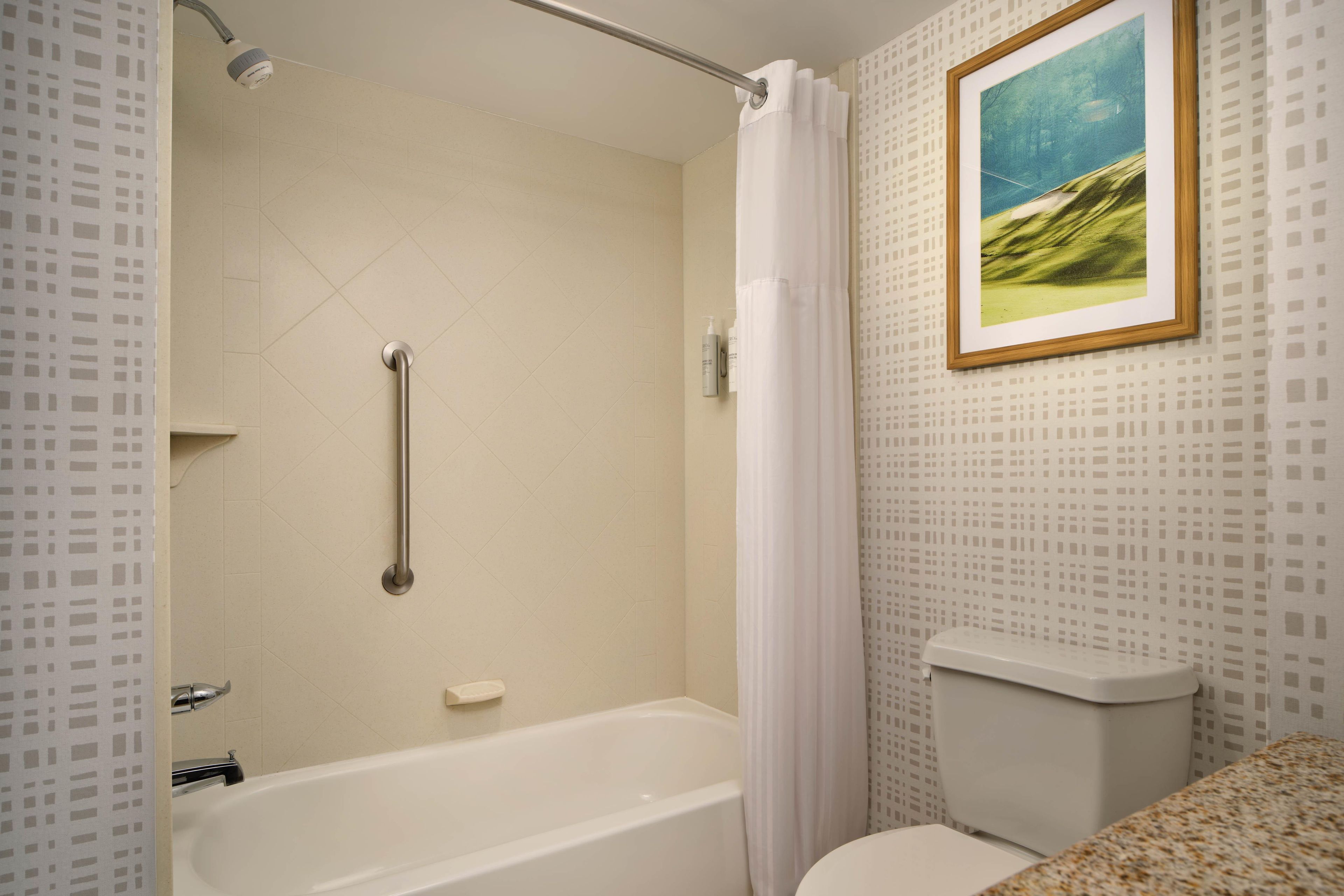 Une salle de bain avec une baignoire, des toilettes, un rideau de douche et un tableau encadré au mur.