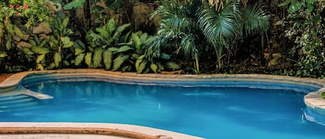 Piscine extérieure, parasols de plage, chaises longues