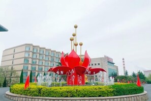 外觀