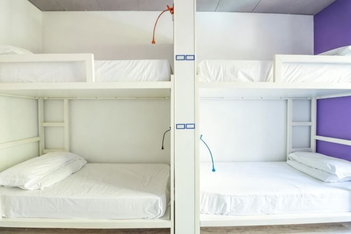 A bunk bed room with a ladder, a purple wall, and a white ceiling.