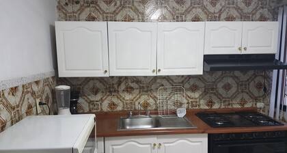 Steinhaus Homero