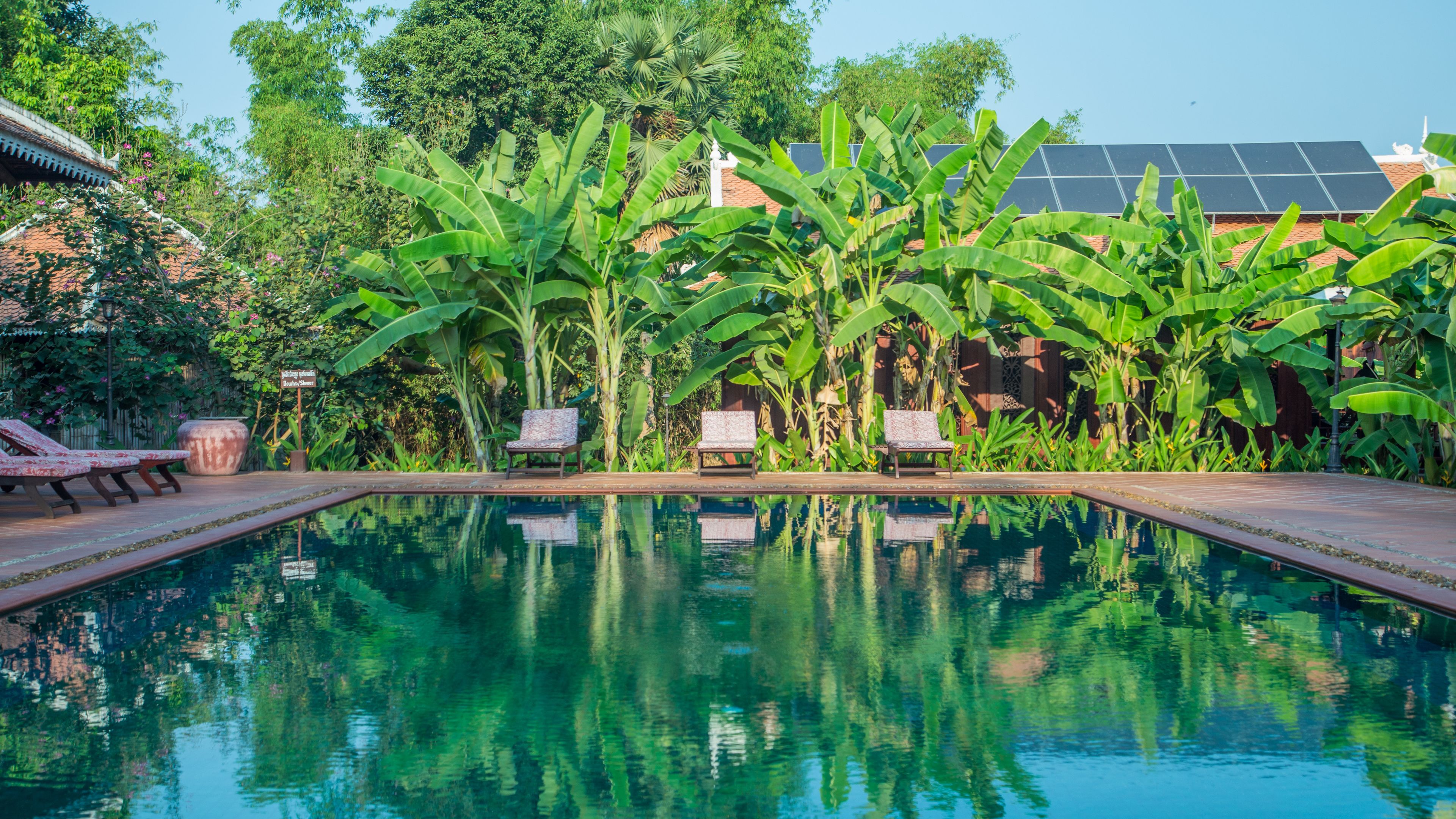 Ein Swimmingpool mit zwei Liegestühlen und einer Zimmerpflanze.