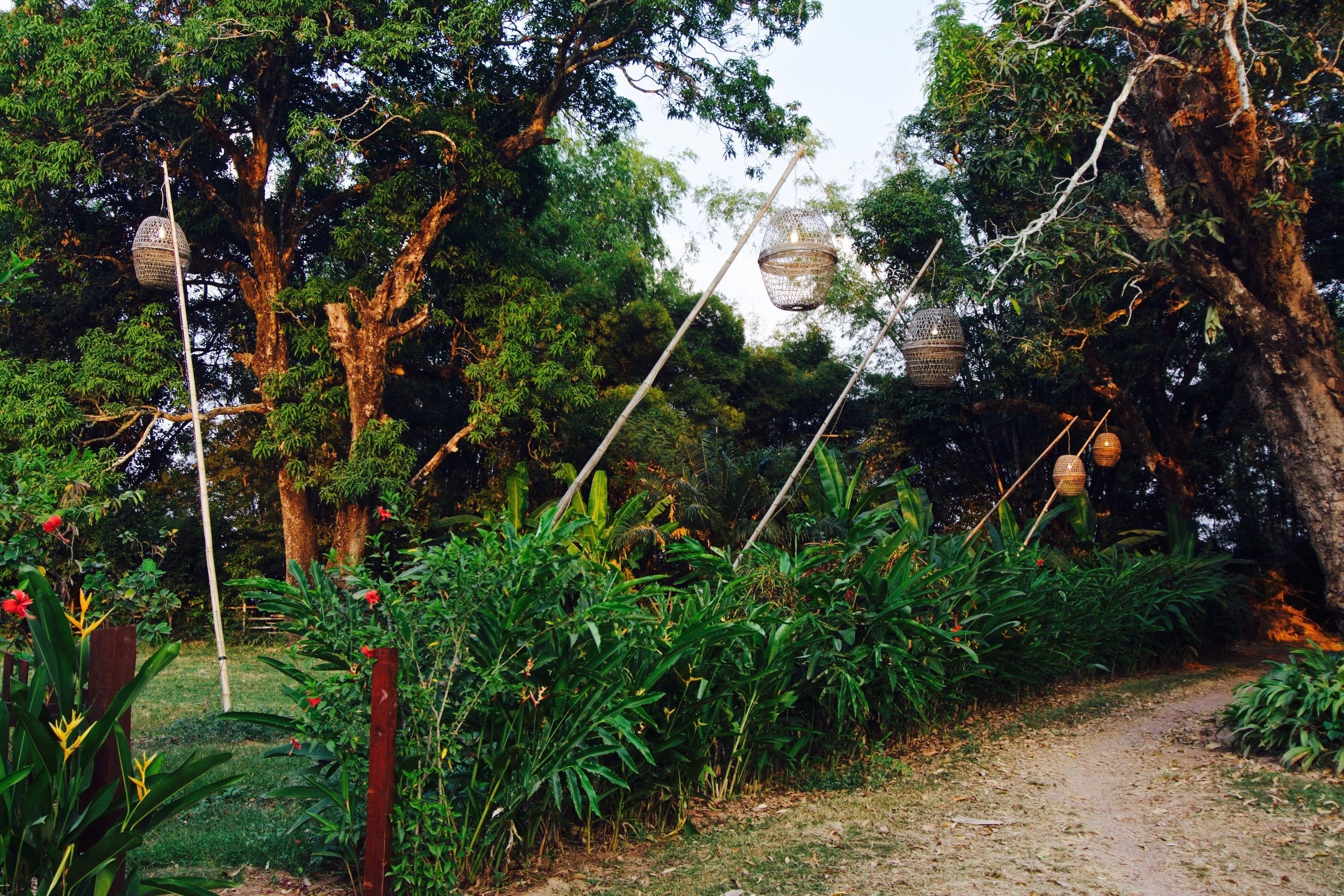 A garden pathway with hanging lanterns and lush greenery.