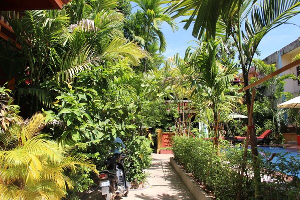 Property grounds - Bou Savy Guesthouse (Siem Reap)