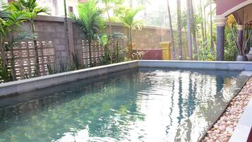 Outdoor pool, sun loungers