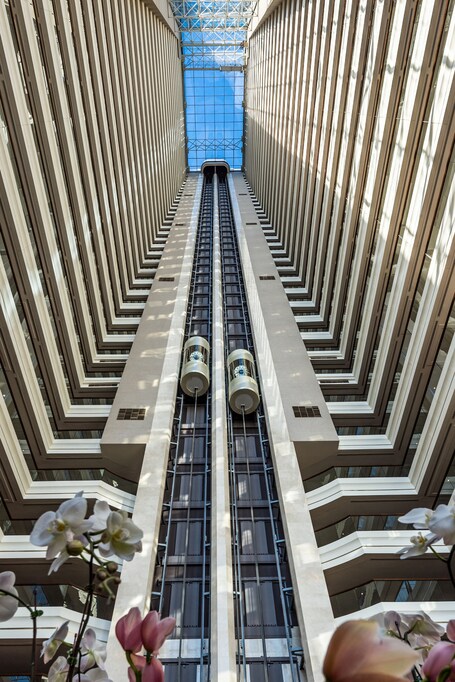 Dusit Thani Abu Dhabi - Image 6