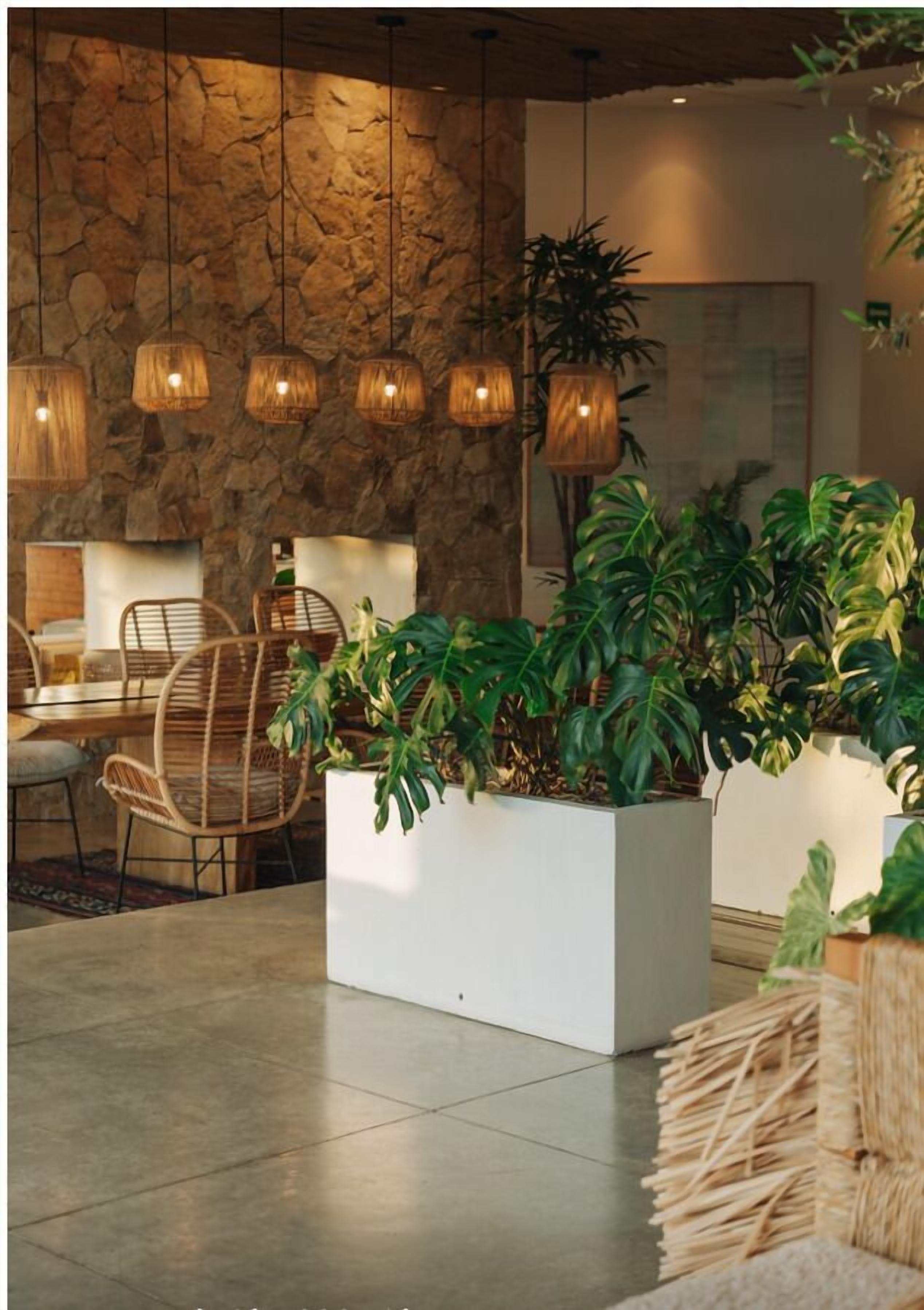 Photo - Hotel El Ganzo - Adults Only