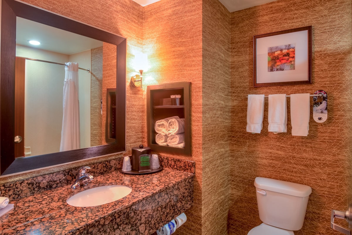 free toiletries, hair dryer, towels