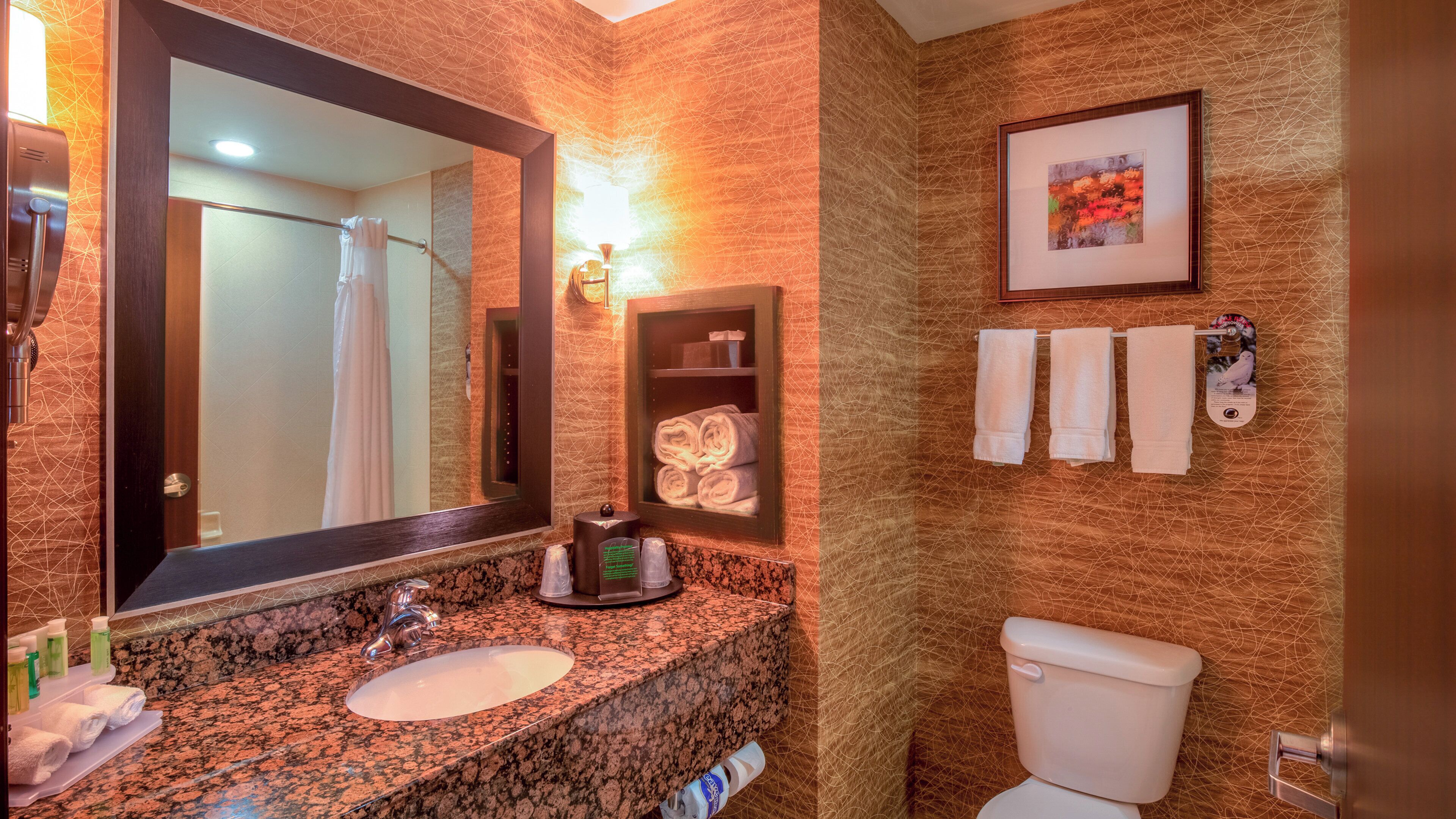 A bathroom with a granite countertop, a sink, a mirror, a towel rack, a toilet, and a framed picture on the wall.